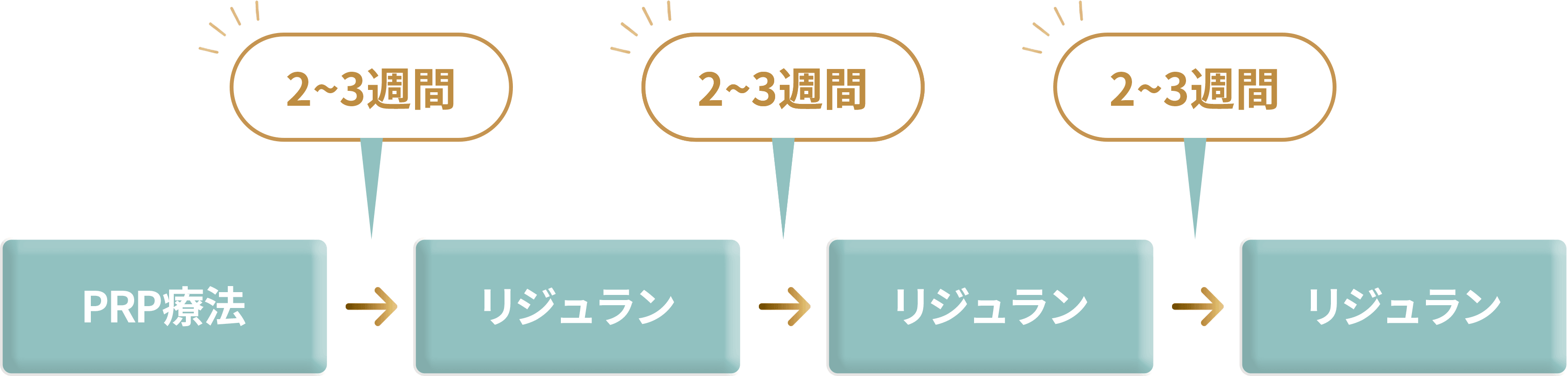 治療スケジュール